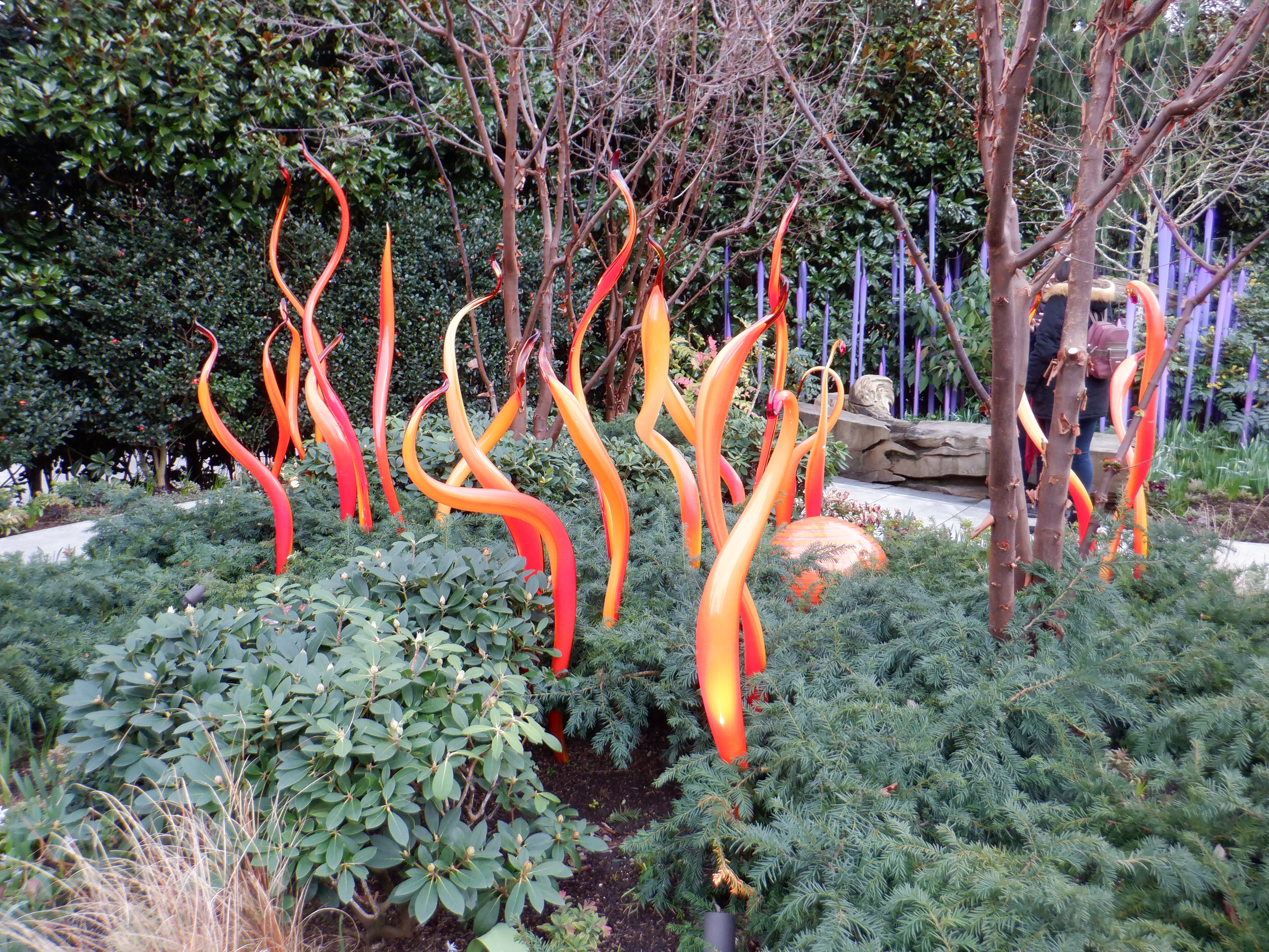 ./2020/03 - Seattle/DSCF1261.JPG